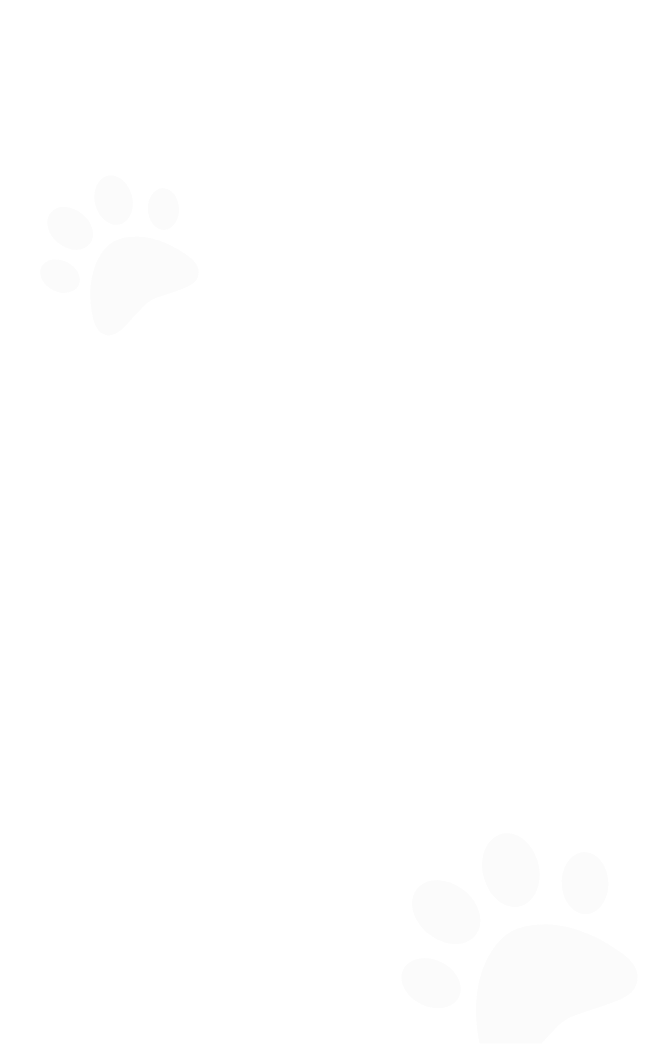 Paw Background