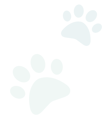 2 paws graphics